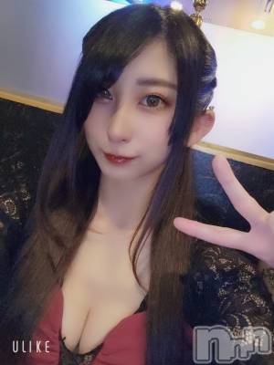 ƲХ顦֥ ץ Ĺ( ץ ʥ) ߱ 117̥֥֤䤹ߤΤҡ
