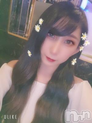 ƲХ顦֥ ץ Ĺ( ץ ʥ) ߱ 76̥֥֤¤ʡ