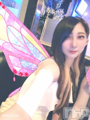 ƲХ顦֥ ץ Ĺ( ץ ʥ) ߱ 98̥֥֤Ф🌙*.