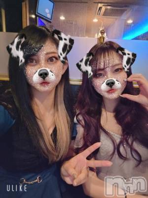 ƲХ顦֥ ץ Ĺ( ץ ʥ) ߱ 88̥֥֤Ф🌙