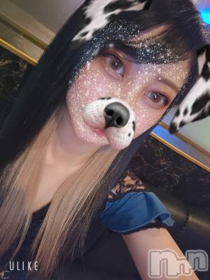 ƲХ顦֥ ץ Ĺ( ץ ʥ) ߱ 810̥֥֤Ф🌙