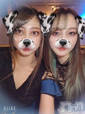 ƲХ顦֥ ץ Ĺ( ץ ʥ) ߱ 122̥֥֤Ф🌙