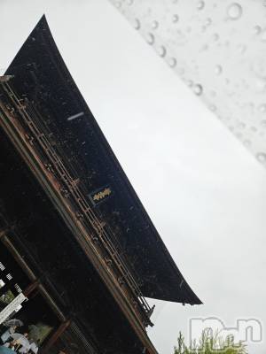 ƲХ顦֥ ץ Ĺ( ץ ʥ) ߱ 1016̥֥֤Ф🌙