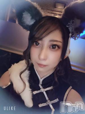 ƲХ顦֥ ץ Ĺ( ץ ʥ) ߱ 1021̥֥֤Ф🌙