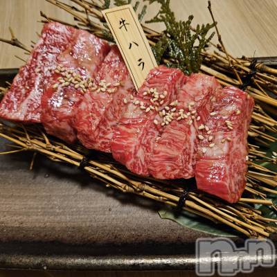 ƲХ顦֥ ץ Ĺ( ץ ʥ) ߱ 1023̥֥֤Ф🌙