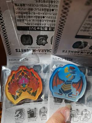 ƲХ顦֥ ץ Ĺ( ץ ʥ) ߱ 1113̥֥֤Ф🌙