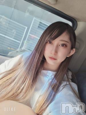 ��Ʋ����Х��顦����֥���� �ץ���� Ĺ��(����� �ץ���� �ʥ���) �߱� ����1��30���̥�֥����֤���Ф��🌙��