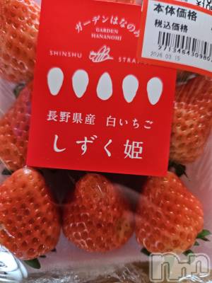 ��Ʋ����Х��顦����֥���� �ץ���� Ĺ��(����� �ץ���� �ʥ���) �߱� ����3��26���̥�֥����֤���Ф��🌙��