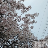 �߱� �� ����