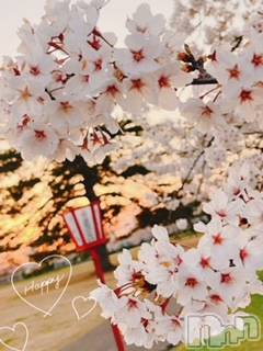 新潟デリヘルOffice Amour(オフィスアムール) すずか/エステ課(26)の4月5日写メブログ「夕焼けと桜」