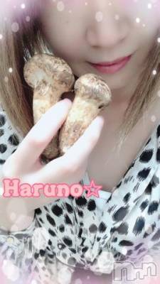 上田発デリヘル BIBLE～奥様の性書～(バイブル～オクサマノセイショ～) ★春乃-ハルノ-★(32)の10月18日写メブログ「ｱﾘ*:･(*-ω人)･:*ｶﾞﾄ」