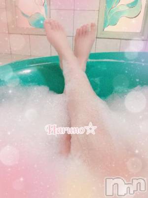 上田発デリヘル BIBLE～奥様の性書～(バイブル～オクサマノセイショ～) ★春乃-ハルノ-★(32)の12月11日写メブログ「おはようございます´ω`)ﾉ」