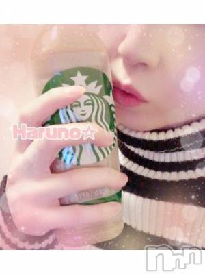 上田発デリヘル BIBLE～奥様の性書～(バイブル～オクサマノセイショ～) ★春乃-ハルノ-★(32)の1月12日写メブログ「ｱﾘ*:･(*-ω人)･:*ｶﾞﾄ」