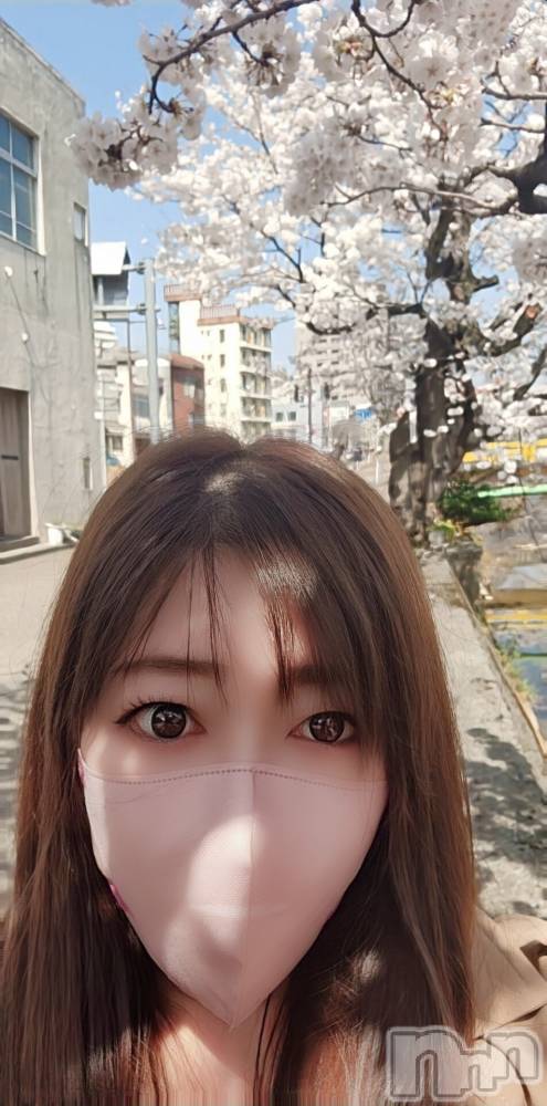 長岡デリヘル人妻楼　長岡店(ヒトヅマロウ　ナガオカテン) みみ(41)の4月1日写メブログ「桜」