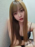 ĮХ顦Briller(֥ꥨ) ޤʤ221̥֥֤פ֤֥