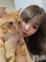 ĮХ顦Briller(֥ꥨ) ޤʤ32ֲ̥֥İǤ
