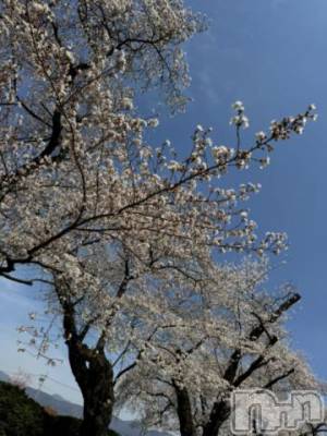 松本発デリヘル 松本人妻隊(マツモトヒトヅマタイ) あいみ(40)の4月14日写メブログ「週末❤️本指名様DAY」