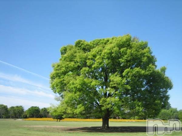 Įʥå륺СL'asile(饸)  2021ǯ325ֵ̥֥Ť🌳