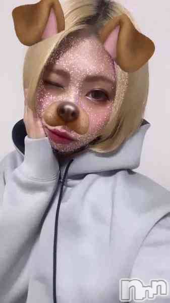 Įʥå륺СL'asile(饸)  2023ǯ1118̥֥֤ɡ衡ӡ