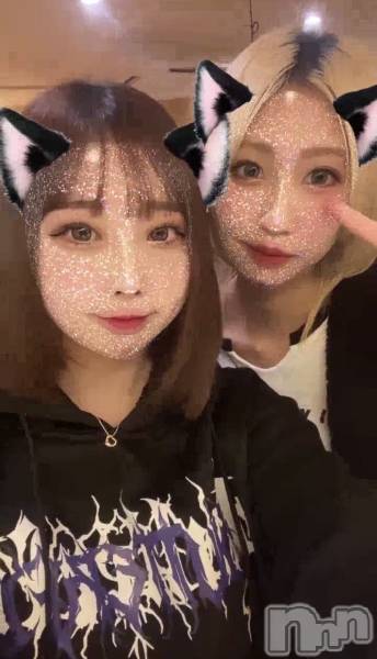 Įʥå륺СL'asile(饸)  2024ǯ123ֺ̥֥鸵‼️👯‍️🩵