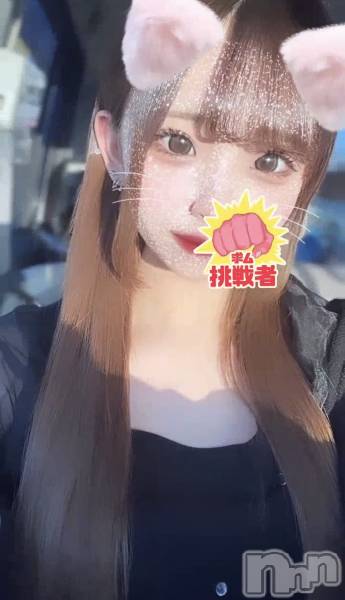 Įʥå륺СL'asile(饸)  2024ǯ522̥֥522🤲🏻🩷