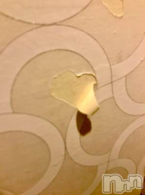 松本発デリヘル VANILLA(バニラ) らら(23)の4月8日写メブログ「ここから何か作ります」