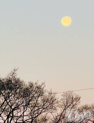 松本発デリヘル VANILLA(バニラ) らら(23)の1月19日写メブログ「溶けちゃっただろうか」