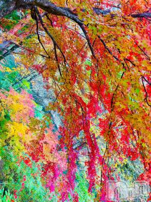 松本発デリヘル VANILLA(バニラ) らら(23)の11月4日写メブログ「飛騨へ」