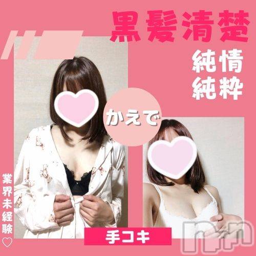 新潟手コキ(ノエル)の2022年8月16日お店速報「🔰体験入店🔰業界未経験！純情ロリ【かえでちゃん】ご案内可能です💗」