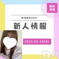 新潟手コキ 新潟風俗Noel-ノエル-(ノエル)の5月19日お店速報「新人美少女きららちゃん初出勤です🔰ご予約はお早めに🌸」