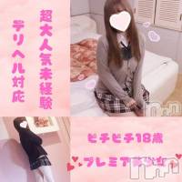 新潟手コキ 新潟風俗Noel-ノエル-(ノエル)の12月16日お店速報「完全未経験★大人気18歳美少女【みれいちゃん】」