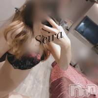 新潟手コキ 新潟風俗Noel-ノエル-(ノエル)の4月13日お店速報「プレミアム美女【せいらちゃん】SSS級です！」