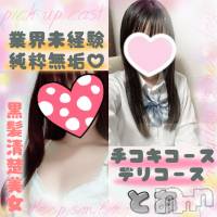 新潟手コキ 新潟風俗Noel-ノエル-(ノエル)の5月11日お店速報「🔰素人好き必見🔰業界未経験！黒髪清楚美女「とあちゃん」本日出勤3日目」