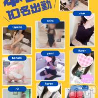 新潟手コキ 新潟風俗Noel-ノエル-(ノエル)の6月1日お店速報「《厳選美女》本日10名出勤‼️ノエル割で2000円引き‼️」