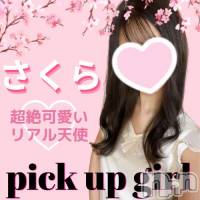 新潟手コキ 新潟風俗Noel-ノエル-(ノエル)の7月2日お店速報「🔰明日初出勤🔰超絶可愛い！純粋天使【さくらちゃん】⚠️ご案内可能です⚠️」