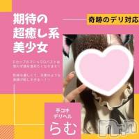 新潟手コキ 新潟風俗Noel-ノエル-(ノエル)の7月24日お店速報「🔰体験入店🔰奇跡のデリ対応【らむちゃん】⚠️ご案内可能です⚠️」