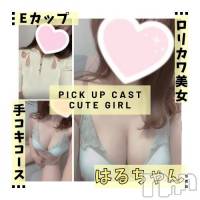 新潟手コキ 新潟風俗Noel-ノエル-(ノエル)の10月11日お店速報「🔰体験入店🔰業界未経験！ロリ巨乳【はるちゃん】ご案内可能です💗」