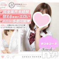 新潟手コキ 新潟風俗Noel-ノエル-(ノエル)の10月17日お店速報「🔰体験入店🔰癒し度満点！純情美女【かえでちゃん】ご案内可能です‼️」