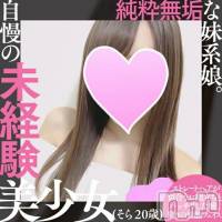 新潟手コキ 新潟風俗Noel-ノエル-(ノエル)の11月19日お店速報「⚠️明日出勤⚠️純粋無垢な超絶美女【そらちゃん】ご案内可能です❣️」