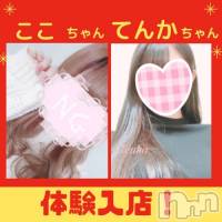新潟手コキ 新潟風俗Noel-ノエル-(ノエル)の11月20日お店速報「⚠️体験入店⚠️【ここちゃん】【てんかちゃん】ご案内可能です❣️」