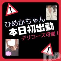 新潟手コキ 新潟風俗Noel-ノエル-(ノエル)の11月23日お店速報「⚠️急遽！本日初出勤⚠️贅沢尽くし美女【ひめかちゃん】ご案内可能です🌼」
