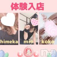 新潟手コキ 新潟風俗Noel-ノエル-(ノエル)の11月26日お店速報「⚠️明日出勤⚠️【ひめかちゃん】、【ここちゃん】、【みおちゃん】オススメ」