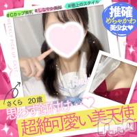 新潟手コキ 新潟風俗Noel-ノエル-(ノエル)の3月17日お店速報「超絶可愛い！リアル天使【さくらちゃん】ご案内可能です🌸」