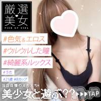 新潟手コキ 新潟風俗Noel-ノエル-(ノエル)の5月29日お店速報「🔰明日初出勤🔰超S級！ハーフ系美女【うたちゃん】ご案内可能です🌻」