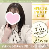 新潟手コキ 新潟風俗Noel-ノエル-(ノエル)の6月4日お店速報「ルックス抜群のおっとり美女【ゆいちゃん】ご案内可能💗」