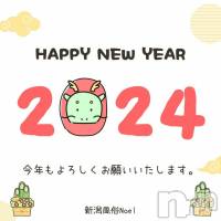 新潟手コキ 新潟風俗Noel-ノエル-(ノエル)の1月1日お店速報「新年あけましておめでとうございます！」