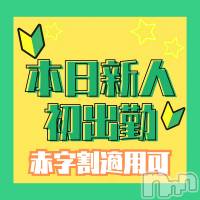 新潟手コキ 新潟風俗Noel-ノエル-(ノエル)の11月8日お店速報「新人ちゃん初出勤赤字割でお得に遊べます」