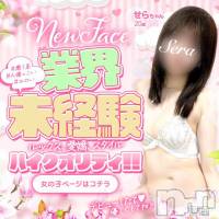 新潟手コキ 新潟風俗Noel-ノエル-(ノエル)の2月9日お店速報「未経験のハイクオリティ美女【せらちゃん】ご案内可能です❤️」
