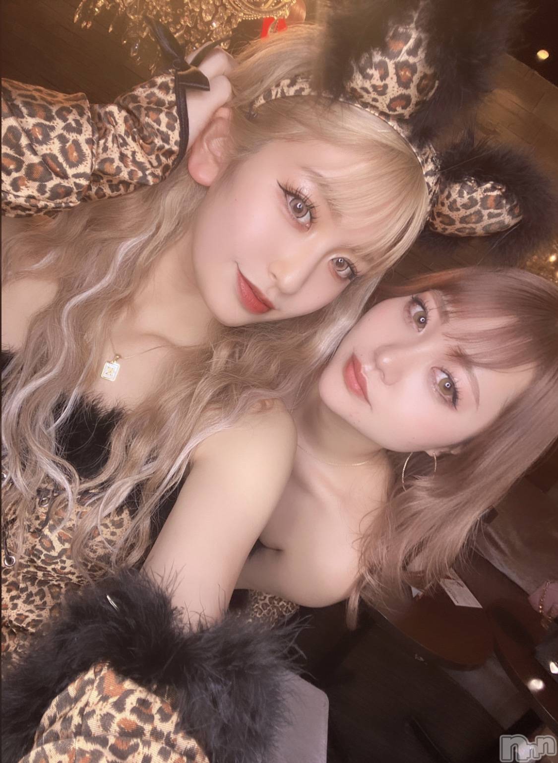 ƲХ顦151-A() 2023ǯ27̥֥🐆❤️‍🔥