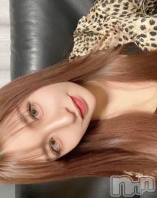 ƲХ顦151-A() Ȥ228̥֥🐆